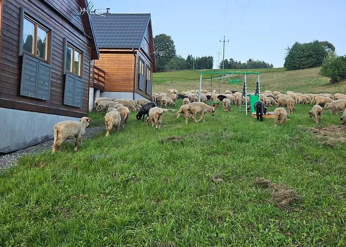 Nad Cicha -Domki Caloroczne W Gorach