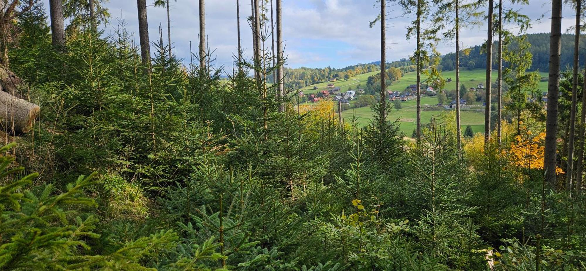 Holiday home Nad Cicha -domki Caloroczne W Gorach Ujsoly