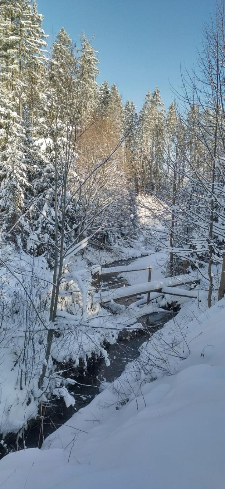 Nad Cicha -domki Caloroczne W Gorach Holiday home *