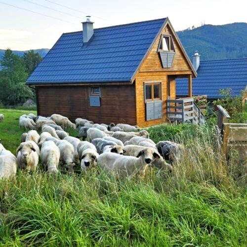 Nad Cicha -domki Caloroczne W Gorach Holiday home