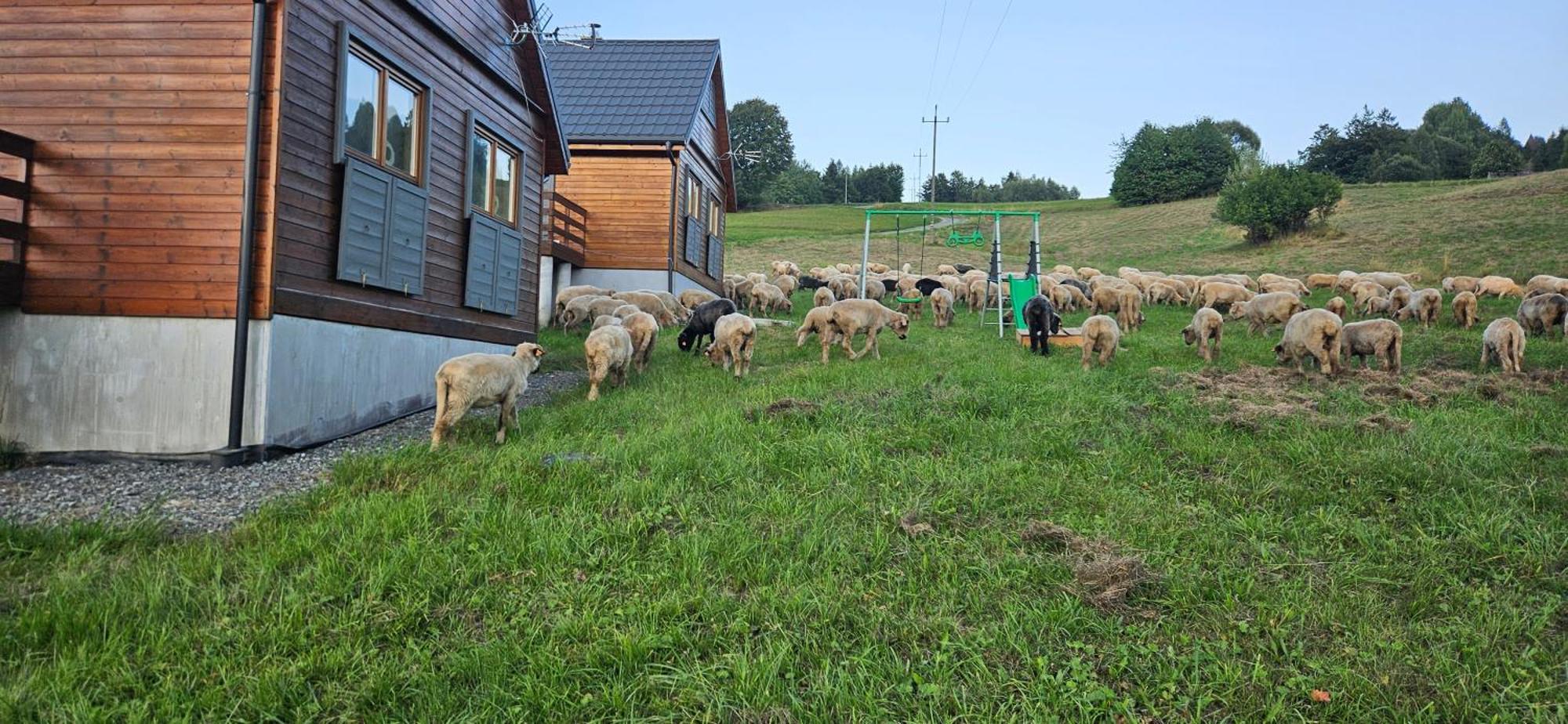 Ferienhaus Nad Cicha -domki Caloroczne W Gorach *